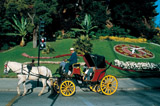 Floral Clock at Vina del Mar, Chile