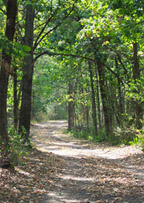 Path in the Woods at Villa Maria, Frontenac, MN