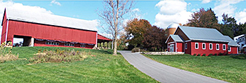 Hearts Center summer class venue at Foxhaven Farm